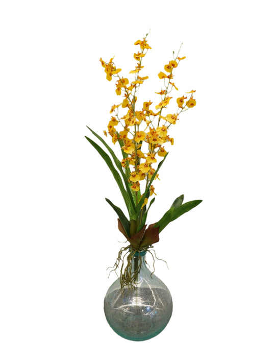 FL13359 DANCING ORCHID PLANTx2,32in-12/96P
