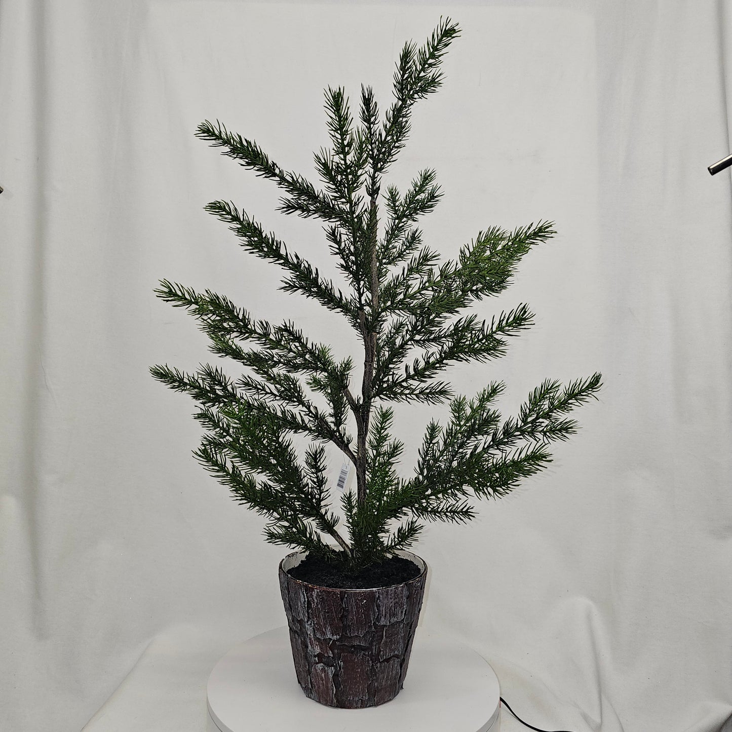 XM30063 POTTED PINE TREE,30.5in-2/12P