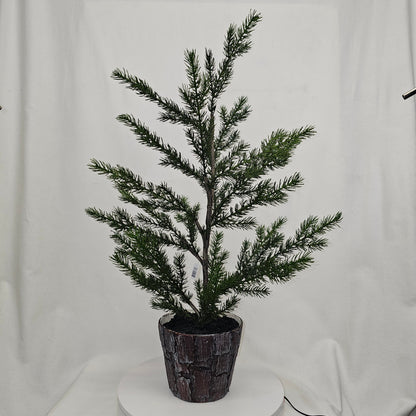 XM30063 POTTED PINE TREE,30.5in-2/12P