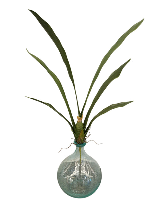 FL13358 CYMBIDIUM LVSx6,28.5in-12/144P