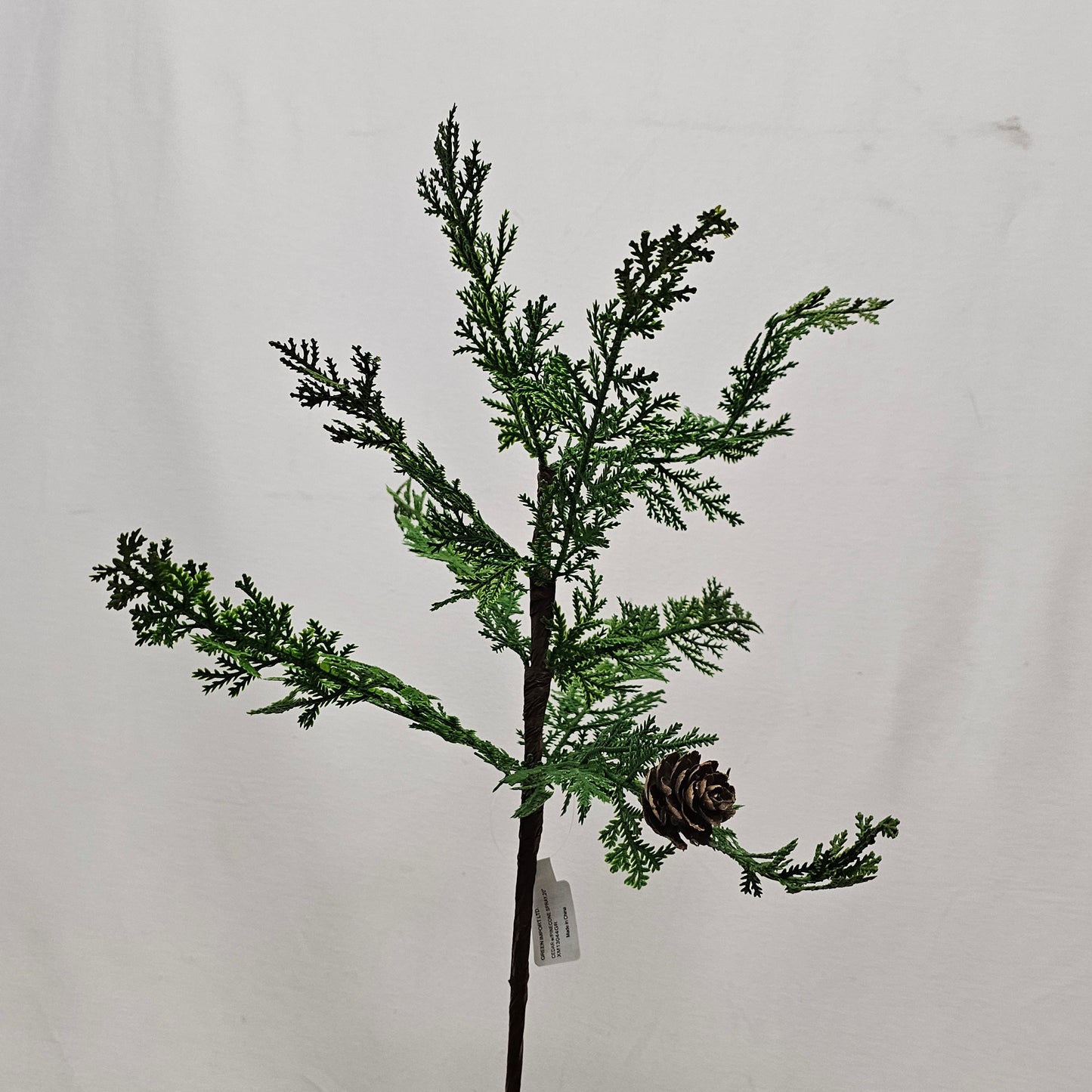 XM13044 CEDAR w/PINECONE SPRAY,20"