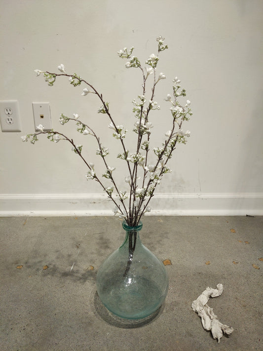 XM12103 GLT/SNOW PATRINIA BUSH,28in-12P/120