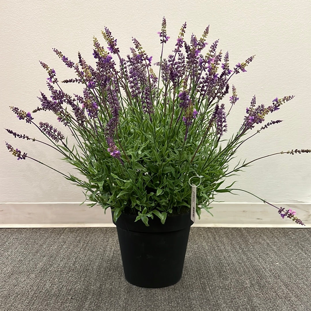 PA10353 POTTED LAVENDER,27"
