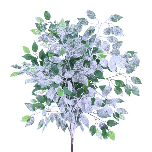 SY20015 FICUS w/SNOW TREE BRANCH,41in